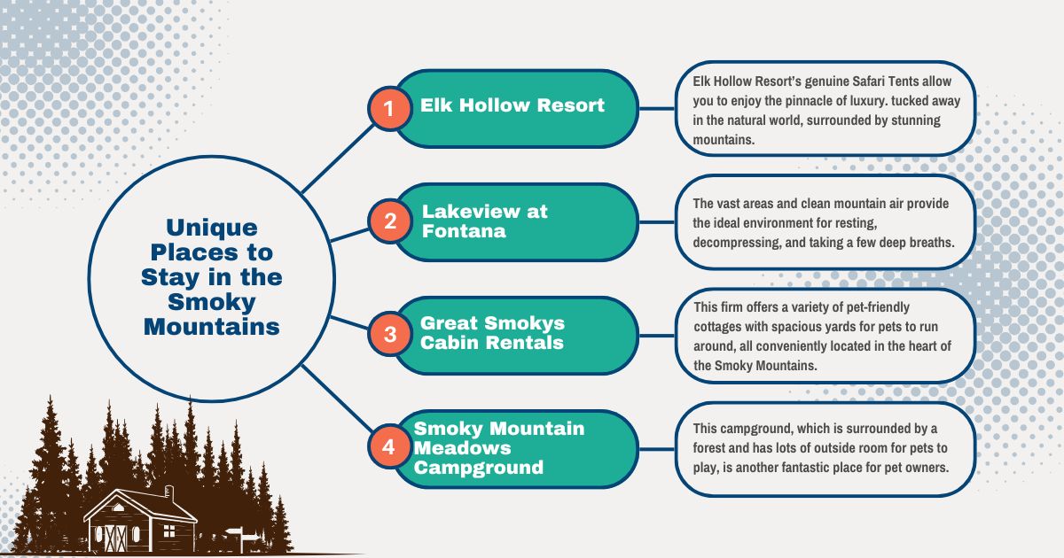 Luxury safari tent accommodations at Elk Hollow Resort in Smoky Mountains